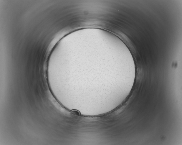 X0000112511196200909141152