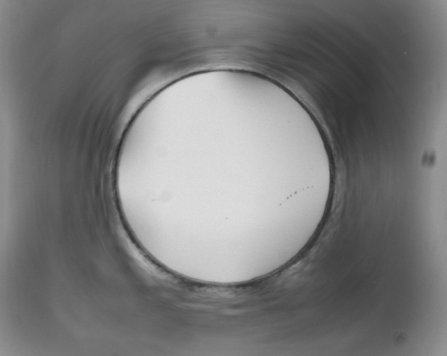 X0000112511197200909141152