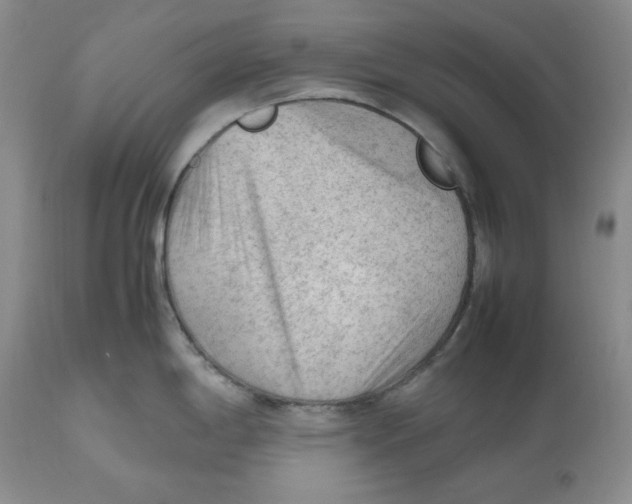 X0000112511198200909141152