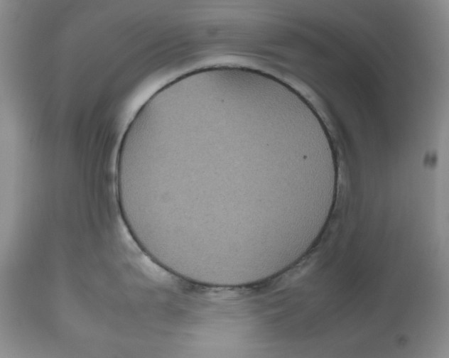 X0000112511199200909141152