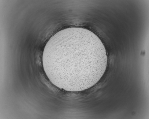 X0000112511202200909141151