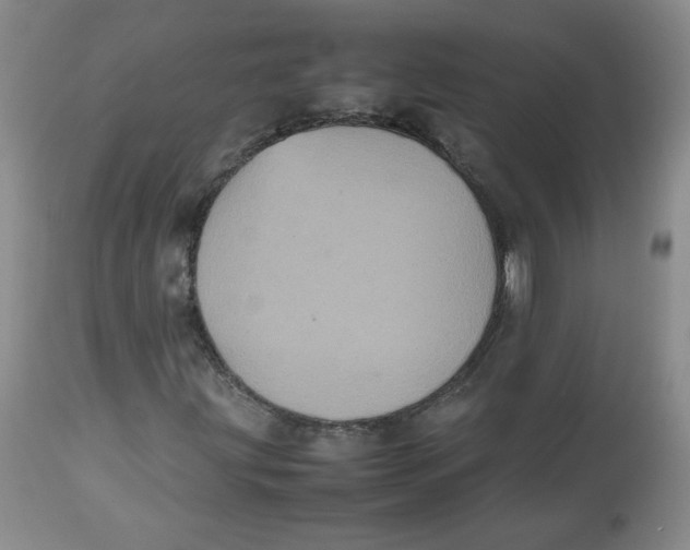 X0000112511203200909141151