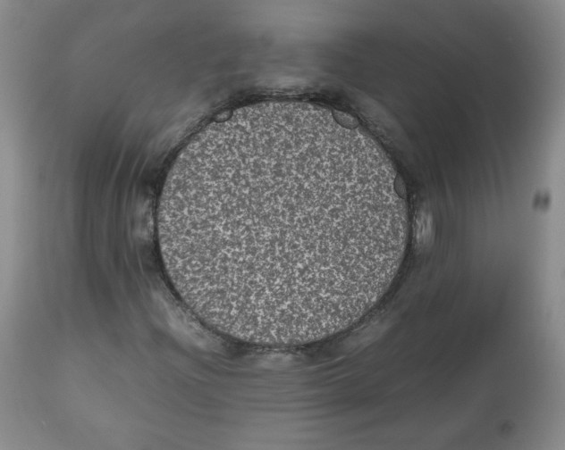 X0000112511204200909141151