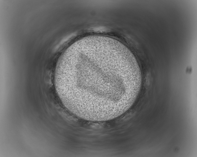 X0000112511205200909141151