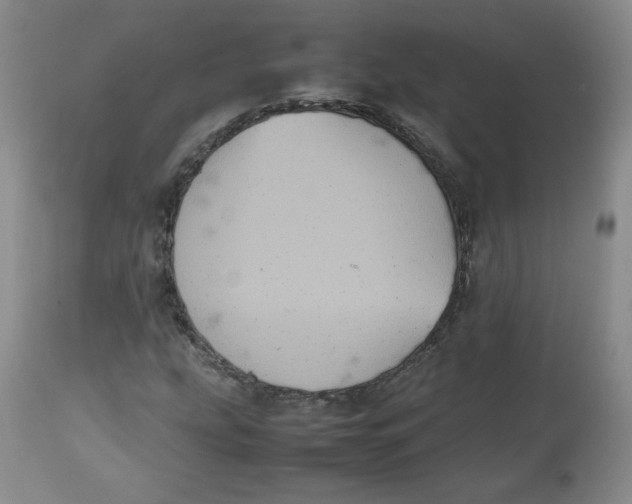 X0000112511207200909141151