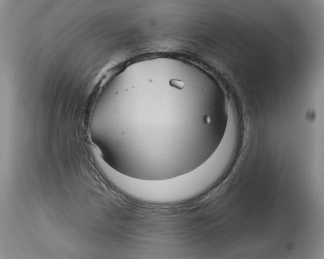 X0000112511210200909141151