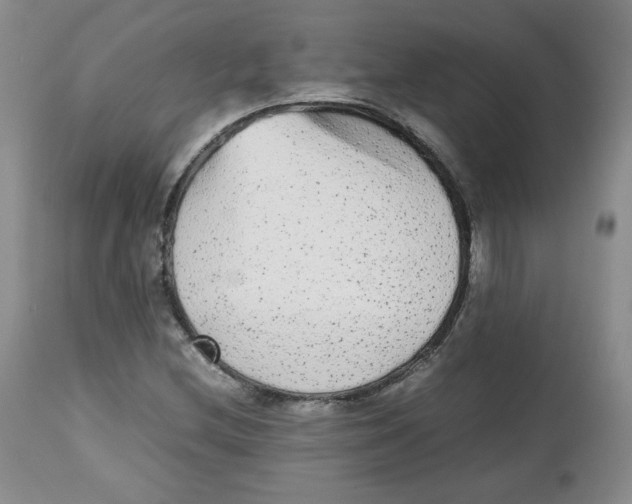 X0000112511212200909141151