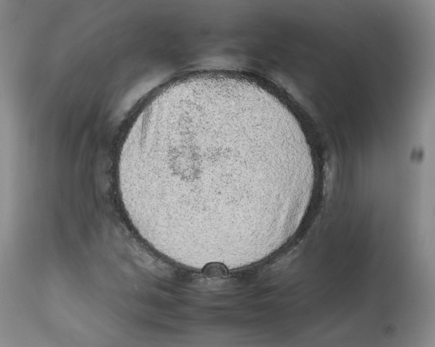 X0000112511213200909141151