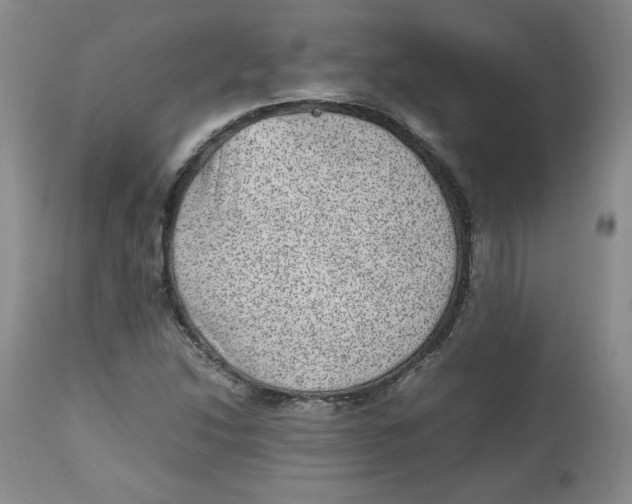 X0000112511214200909141151