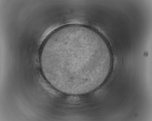 X0000112511215200909141151