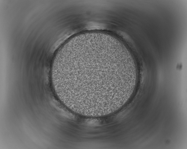 X0000112511217200909141151