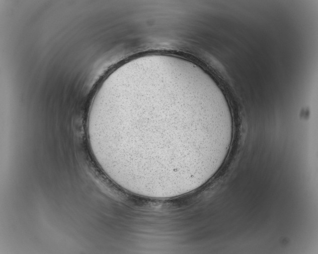 X0000112511218200909141151