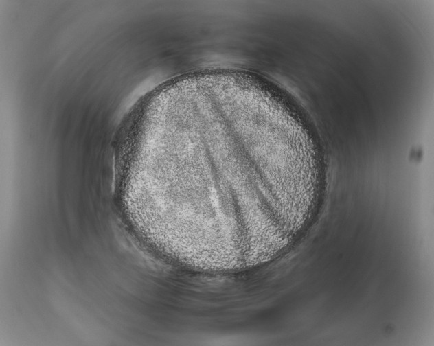 X0000112511219200909141151