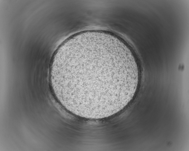 X0000112511220200909141151