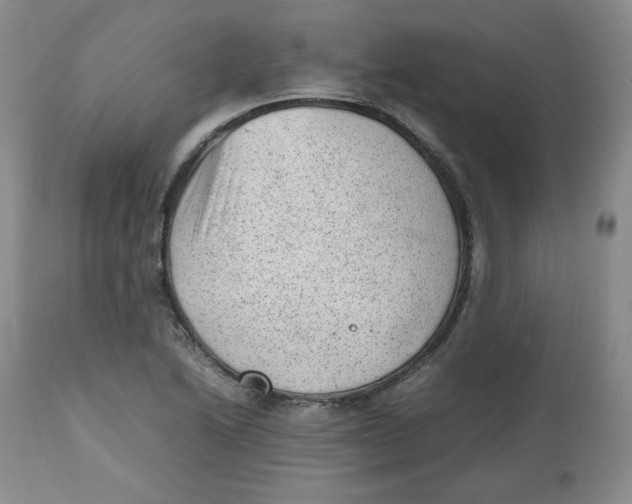 X0000112511222200909141151