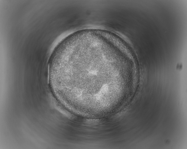 X0000112511223200909141151