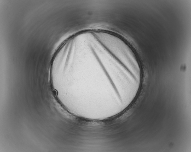 X0000112511224200909141151