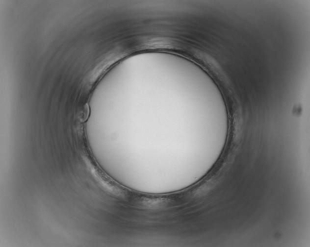 X0000112511225200909141151