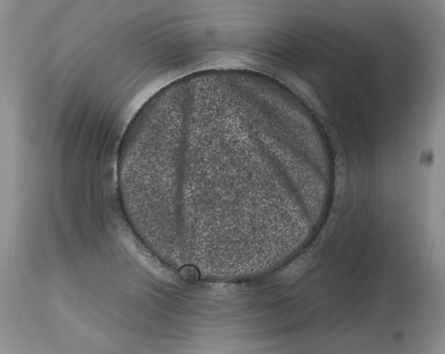 X0000112511226200909141152