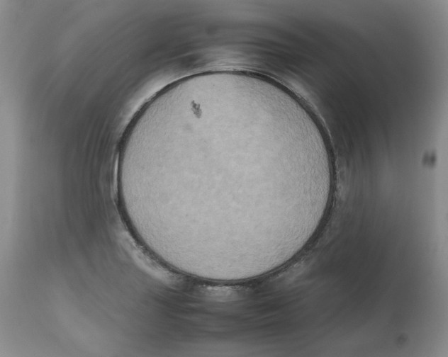 X0000112511227200909141152