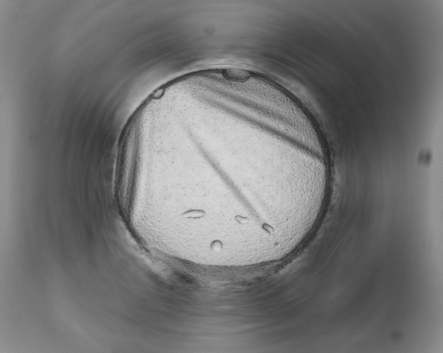 X0000112511228200909141152