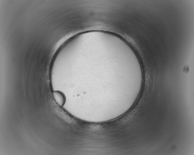 X0000112511230200909141152