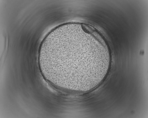 X0000112511232200909141152