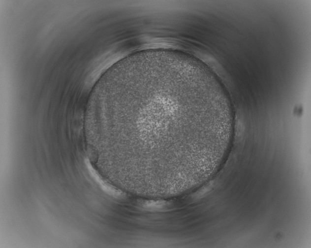 X0000112511233200909141152