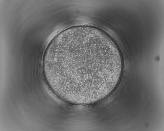 X0000112511234200909141152