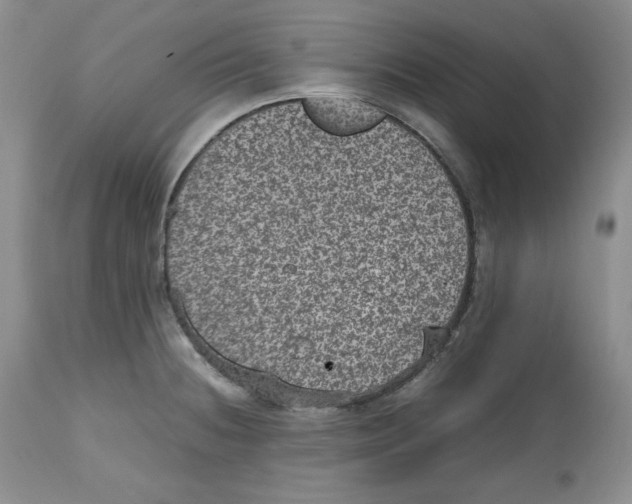 X0000112511236200909141152