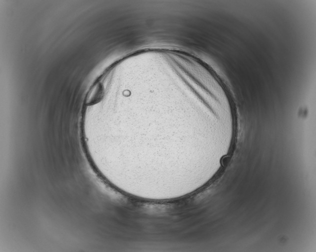 X0000112511237200909141152