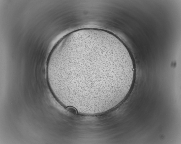 X0000112511238200909141152