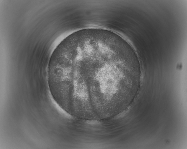 X0000112511239200909141152