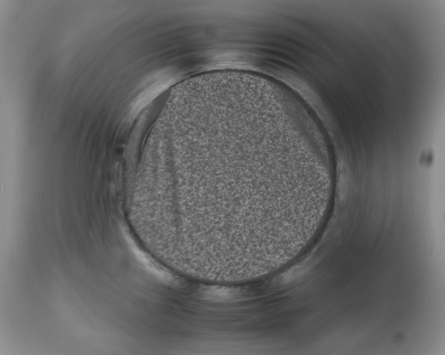 X0000112511241200909141152