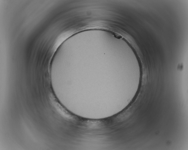 X0000112511242200909141152