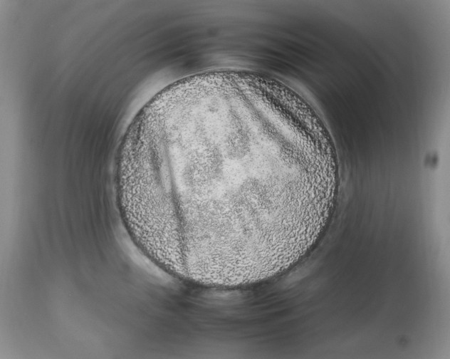 X0000112511243200909141152