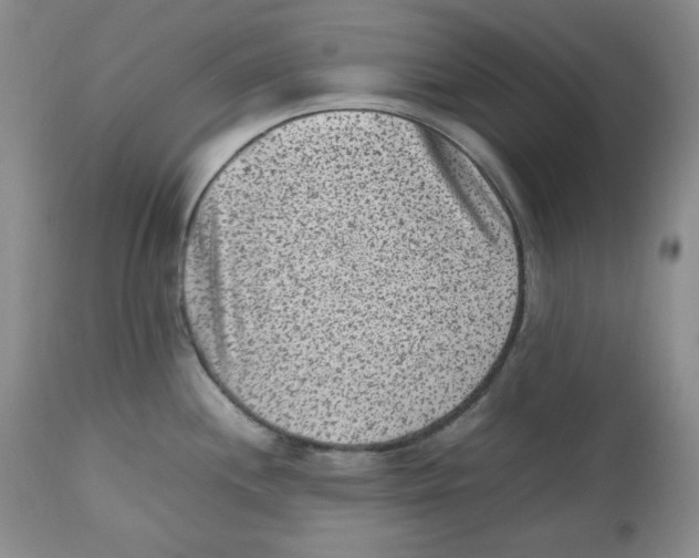 X0000112511244200909141152