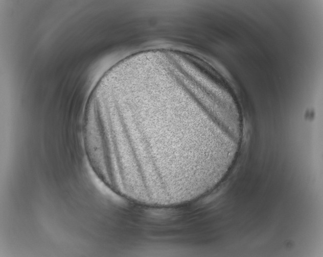 X0000112511247200909141152