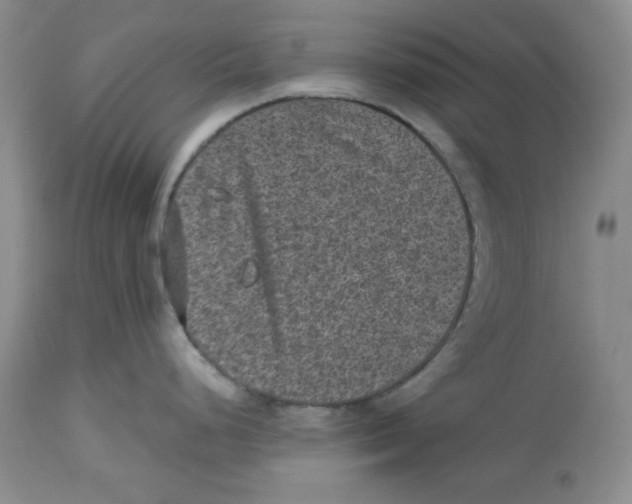 X0000112511248200909141152