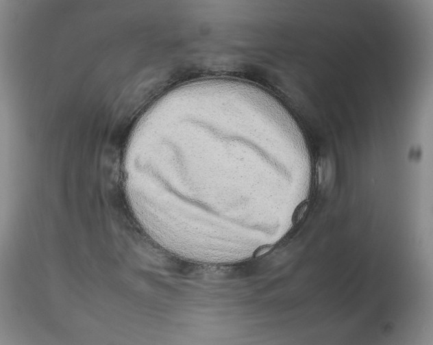 X0000112511251200909141151