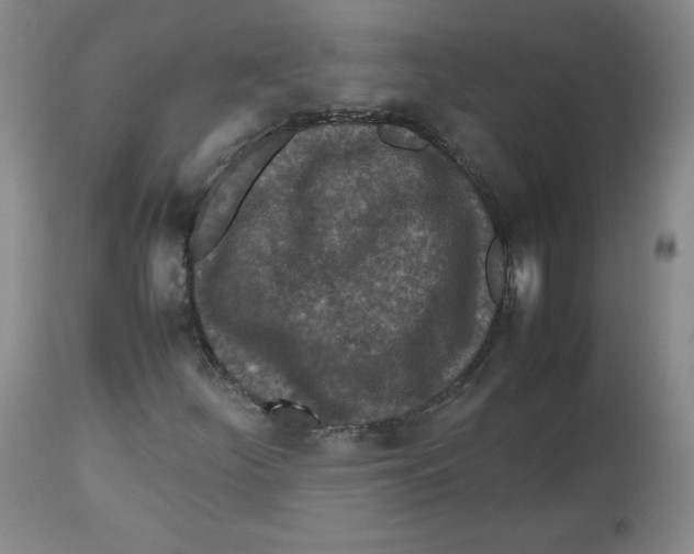 X0000112511252200909141151