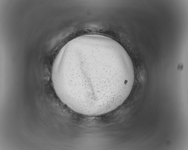 X0000112511253200909141151