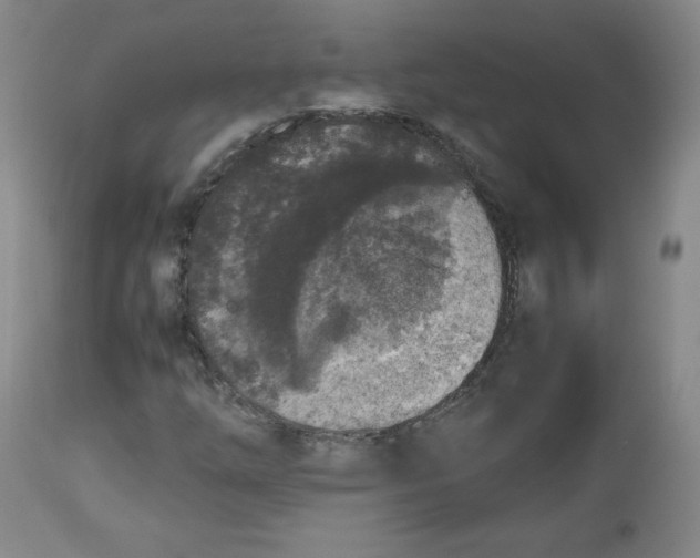 X0000112511254200909141151