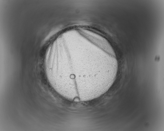 X0000112511255200909141151