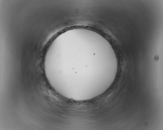 X0000112511256200909141151