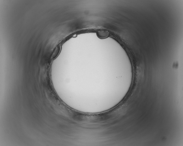 X0000112511257200909141151