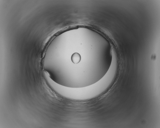 X0000112511260200909141151