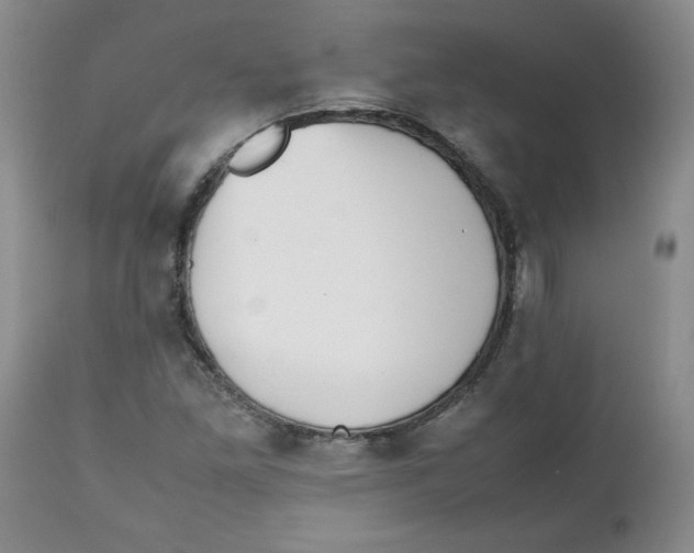 X0000112511261200909141151