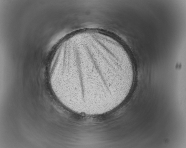 X0000112511263200909141151