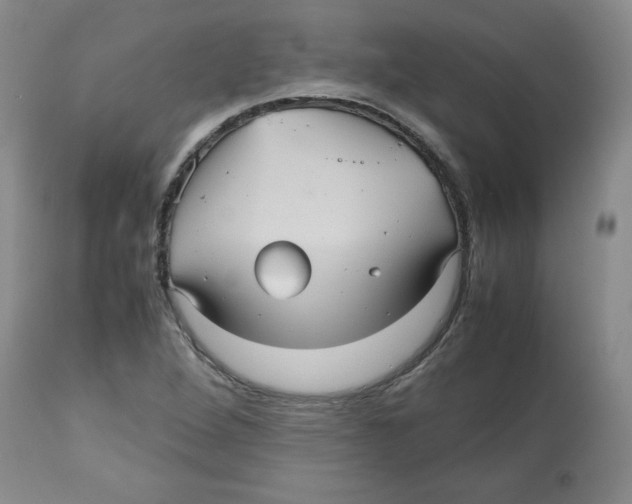 X0000112511264200909141151